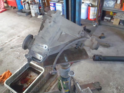 PA260083.JPG
