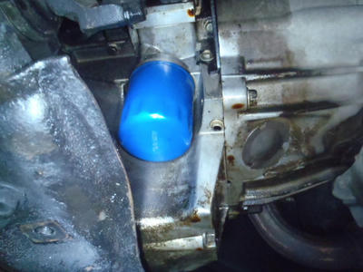 PB300097.JPG