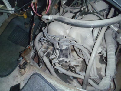 PB260072.JPG