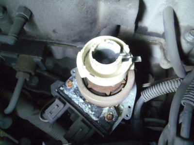 PB260074.JPG
