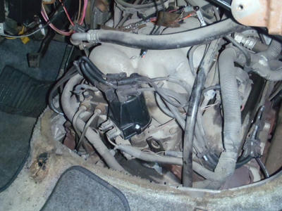 PB260082.JPG