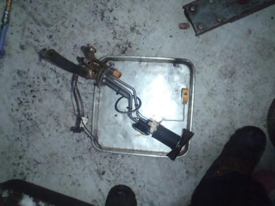 P1160020.JPG