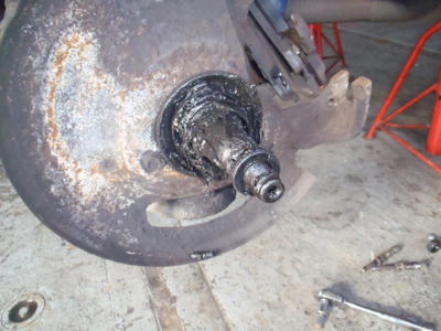 P2100003.JPG