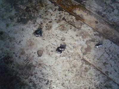 P2100005.JPG