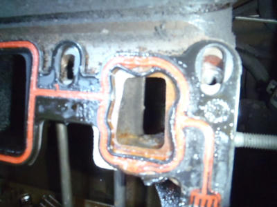 P4120180.JPG