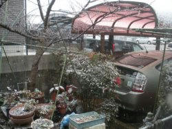 20091231-1.jpg