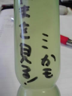 351b017e.jpg