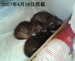 20080627b.JPG