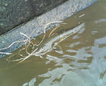 20110508.JPG