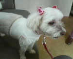 20110622.JPG