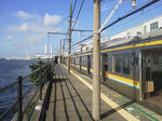 20110916d.JPG
