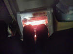 20111118a.JPG
