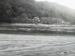 20120229f.jpg
