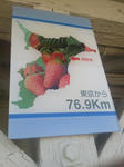 20120603b.JPG