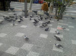 20120923d.JPG
