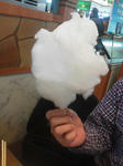 20121115b.JPG