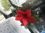20121205a.JPG
