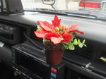 20121205b.JPG