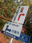 20121205c.JPG
