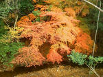 20121205d.JPG