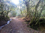 20121205e.JPG