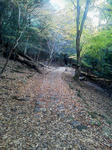 20121205h.JPG