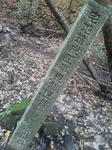 20121206c.JPG