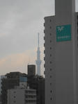 20141125d.JPG