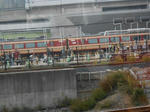 20141130g.JPG