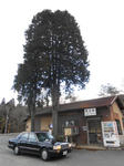 20150219e.JPG