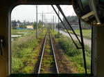 20150607b.JPG