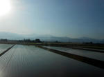 20150607c.JPG
