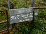 20151030g.JPG