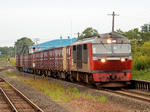20151105c.JPG