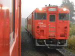 20151107a.JPG