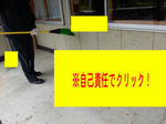 20151109i.JPG