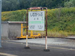 20151111b.JPG