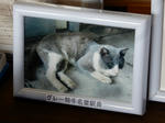 20170827a.JPG