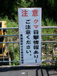 20170828e.JPG