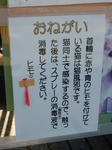 20170831f.JPG