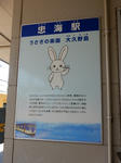 20180812f.JPG