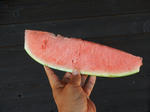 20180818a.JPG