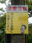 20180823b.JPG