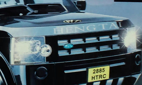 hen2.jpg
