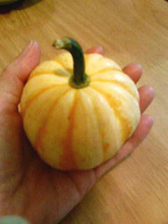 手乗りかぼちゃ