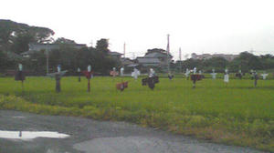 かかしミステリーサークル