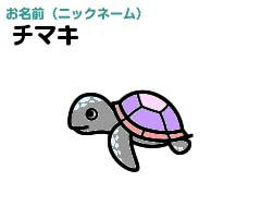 ウミガメちまき