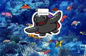 大人ちまき水槽の中