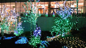 ららぽイルミネーション１