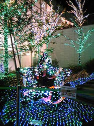 イルミネーション星の全体図